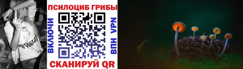 купить закладку  Гремячинск  Псилоцибиновые грибы Cubensis 